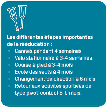 Reconstruction du LCA: Ligament Croisé Antérieur - Informations ...