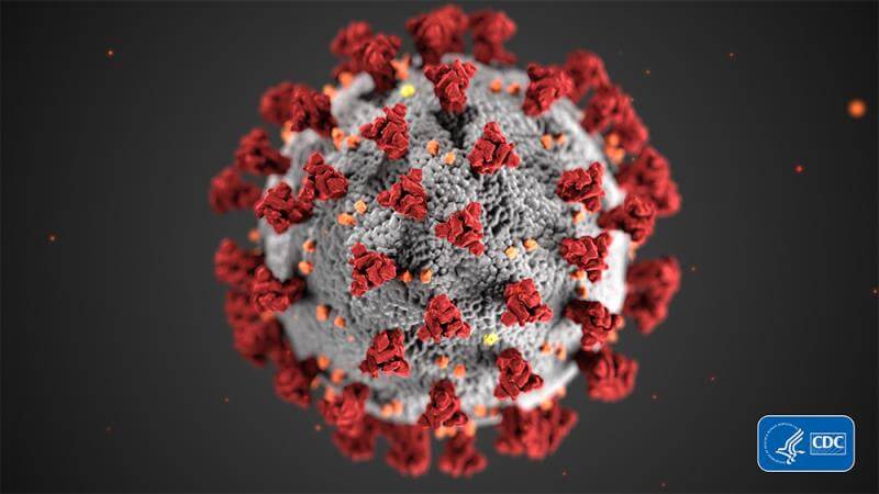 Résultat de recherche d'images pour "Coronavirus COVID-19"